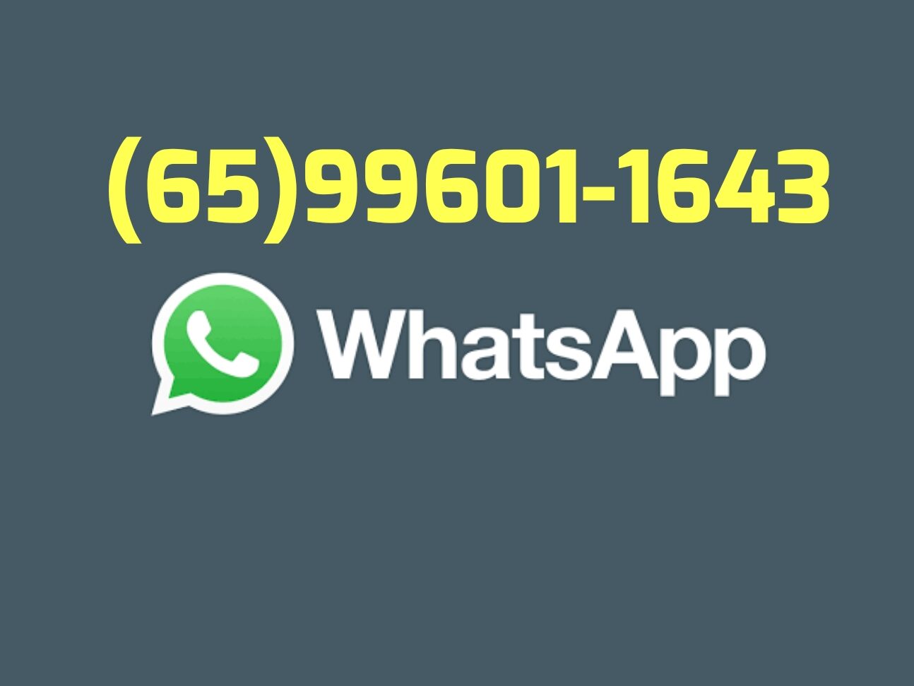 Aluguel de pula pula Cuiabá (65)99601-1643 whatsapp 